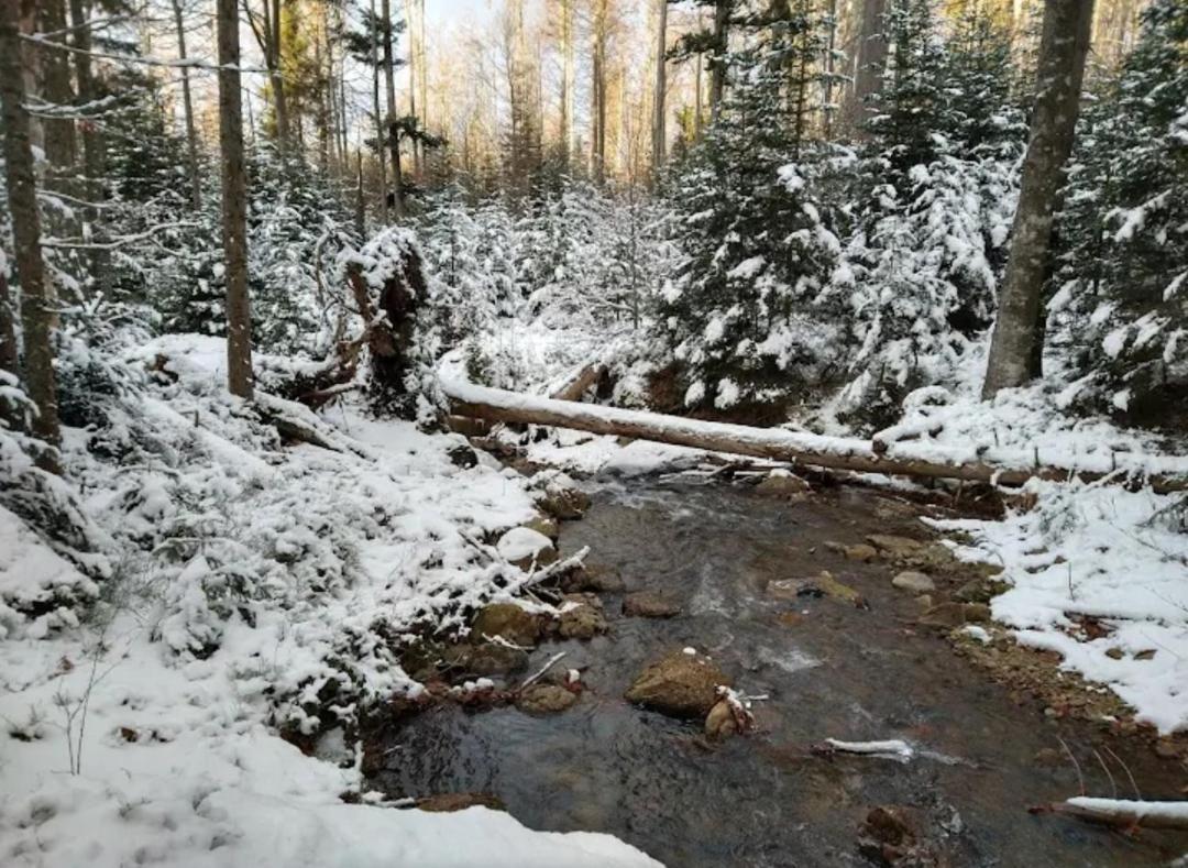 Ferienwohnungen "Haus Daxberg" Idyllisch Gelegen Im Bayerischen Wald Eppenschlag ภายนอก รูปภาพ