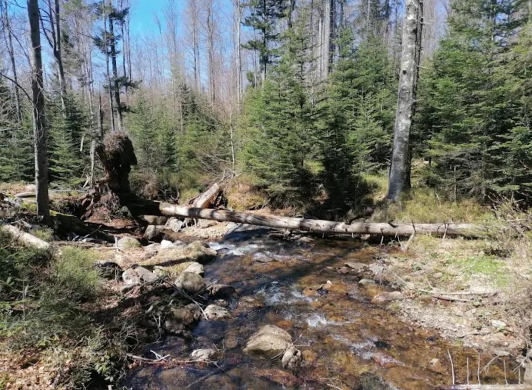 Ferienwohnungen "Haus Daxberg" Idyllisch Gelegen Im Bayerischen Wald Eppenschlag ภายนอก รูปภาพ