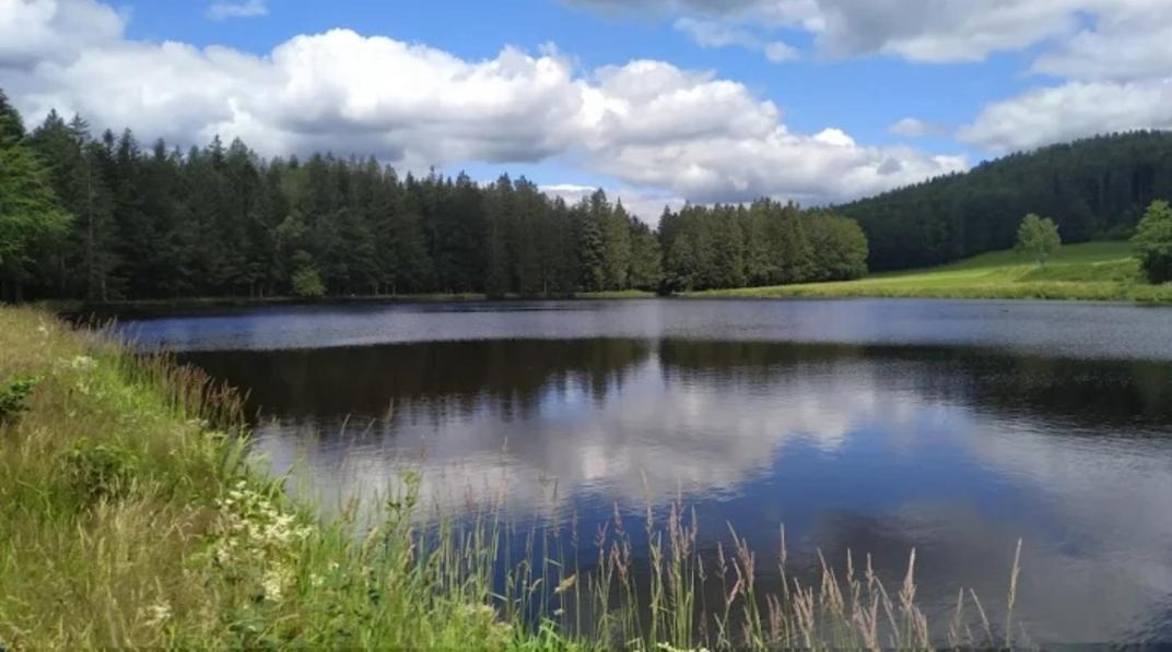 Ferienwohnungen "Haus Daxberg" Idyllisch Gelegen Im Bayerischen Wald Eppenschlag ภายนอก รูปภาพ