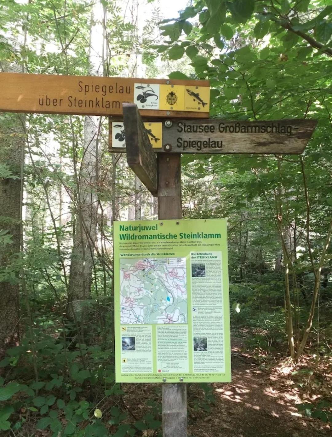Ferienwohnungen "Haus Daxberg" Idyllisch Gelegen Im Bayerischen Wald Eppenschlag ห้อง รูปภาพ